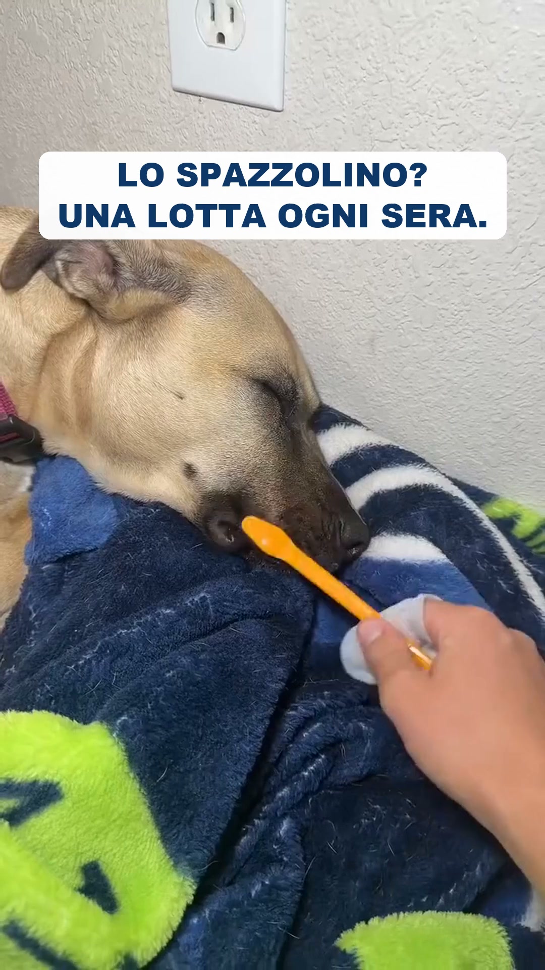 La routine dei denti da 30 secondi