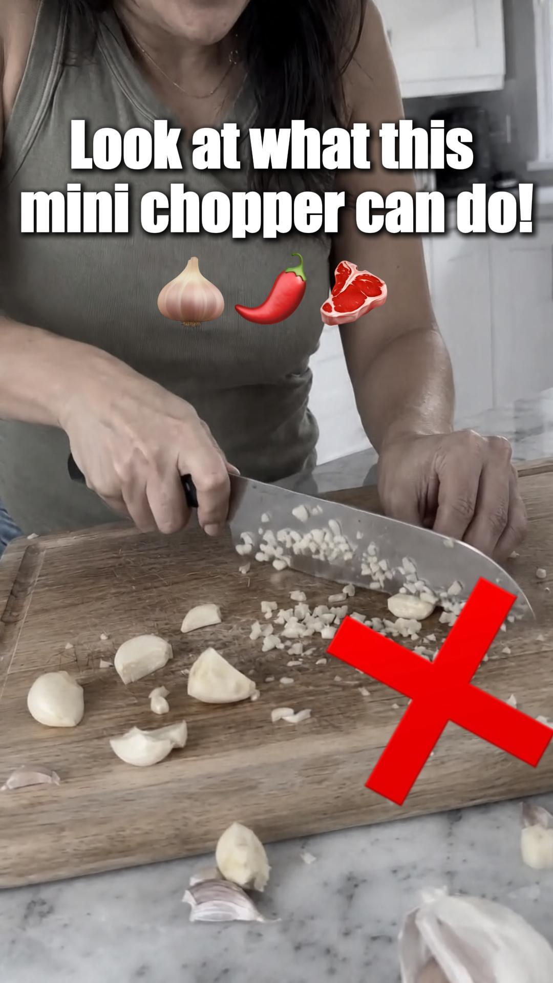 Household Electric Garlic Crusher