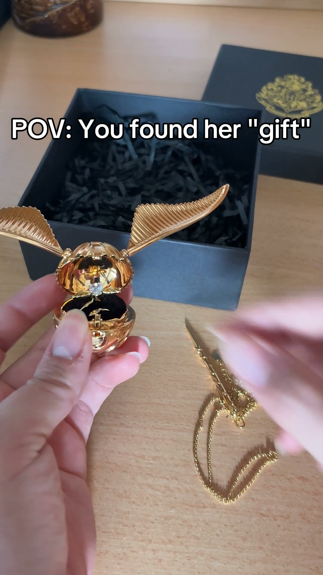 The Golden Snitch Gift Set