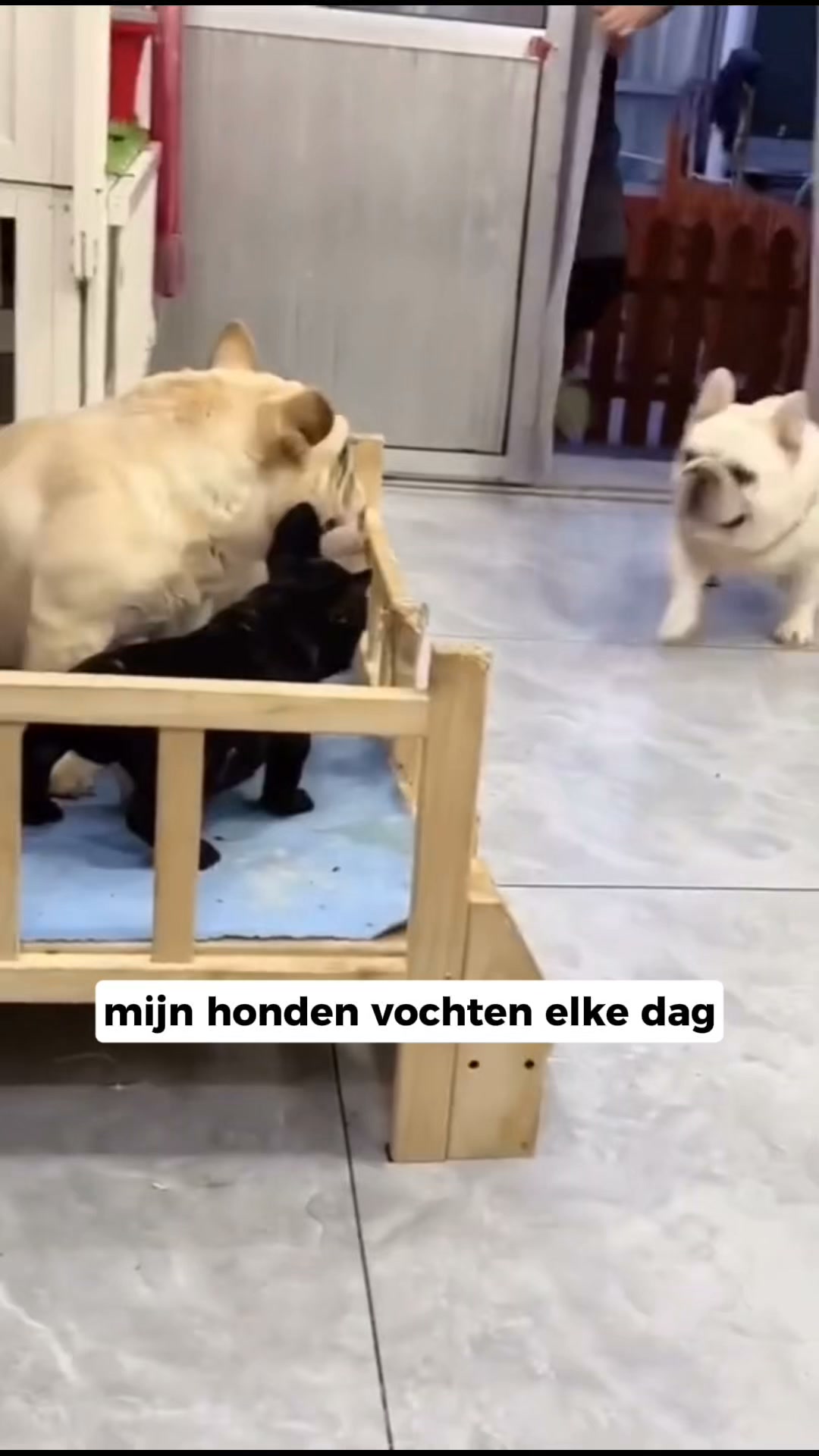 Bespaar nu 50% op Furrzie