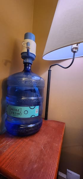 Support healthy urine flow and restful nights — every day