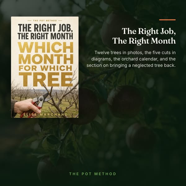 The Right Job, The Right Month