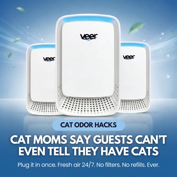 Get Rid of the Cat Pee Smell In Your Home (MUST READ)