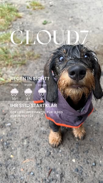 Wetterfest für jeden Hund