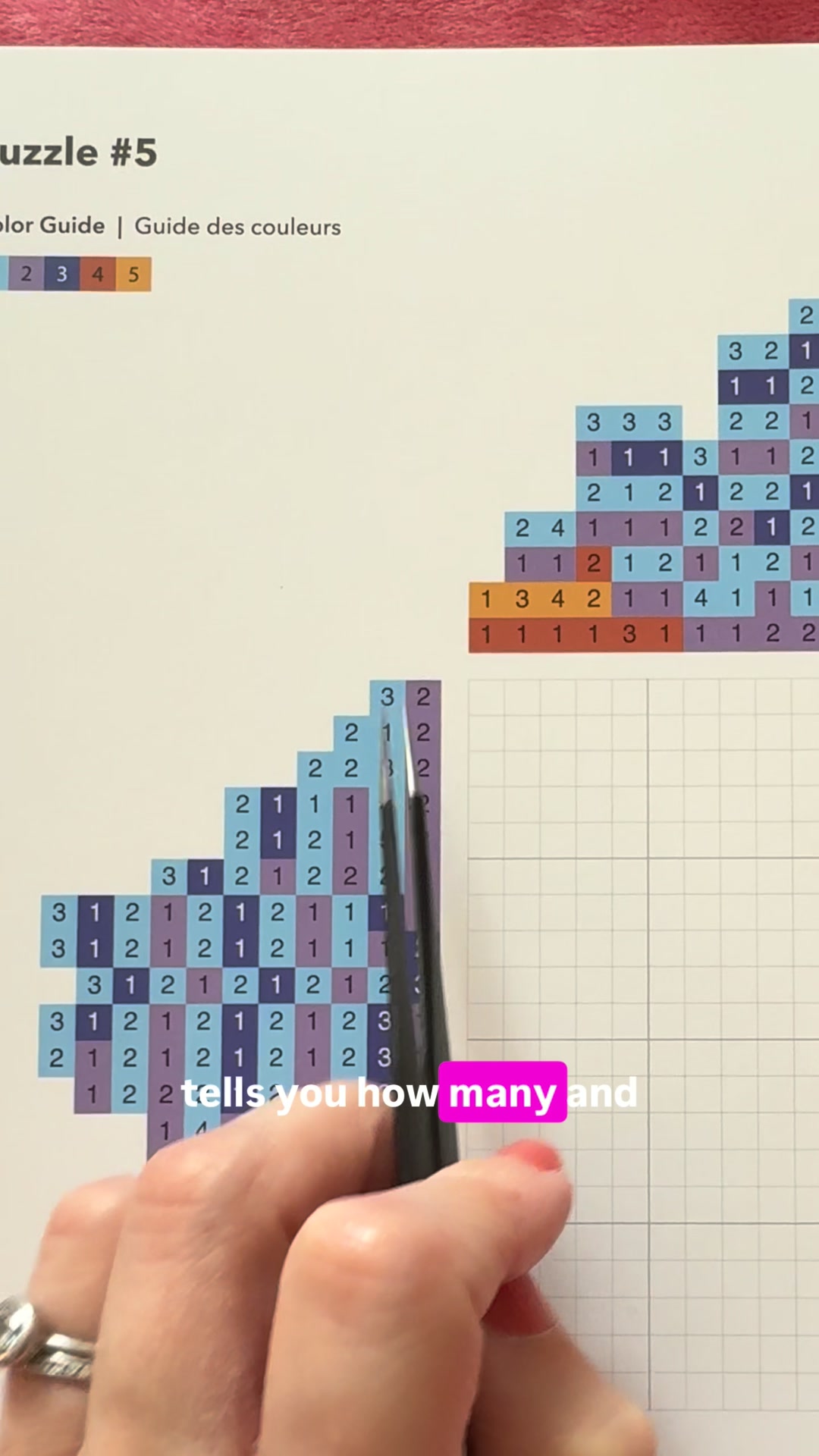 Can You Reveal the Hidden Image?