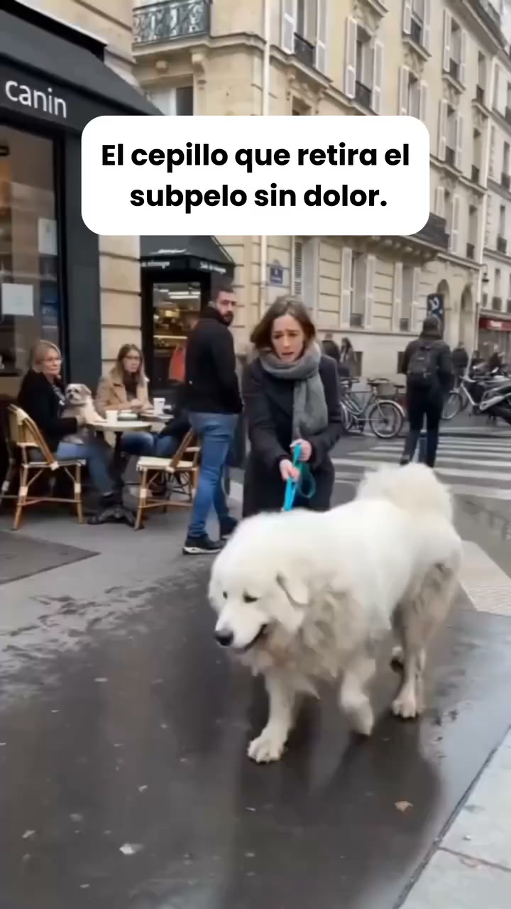 Retira el subpelo sin dolor