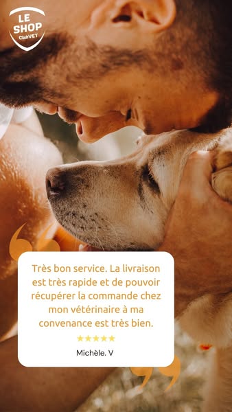Paiement 100% sécurisé
