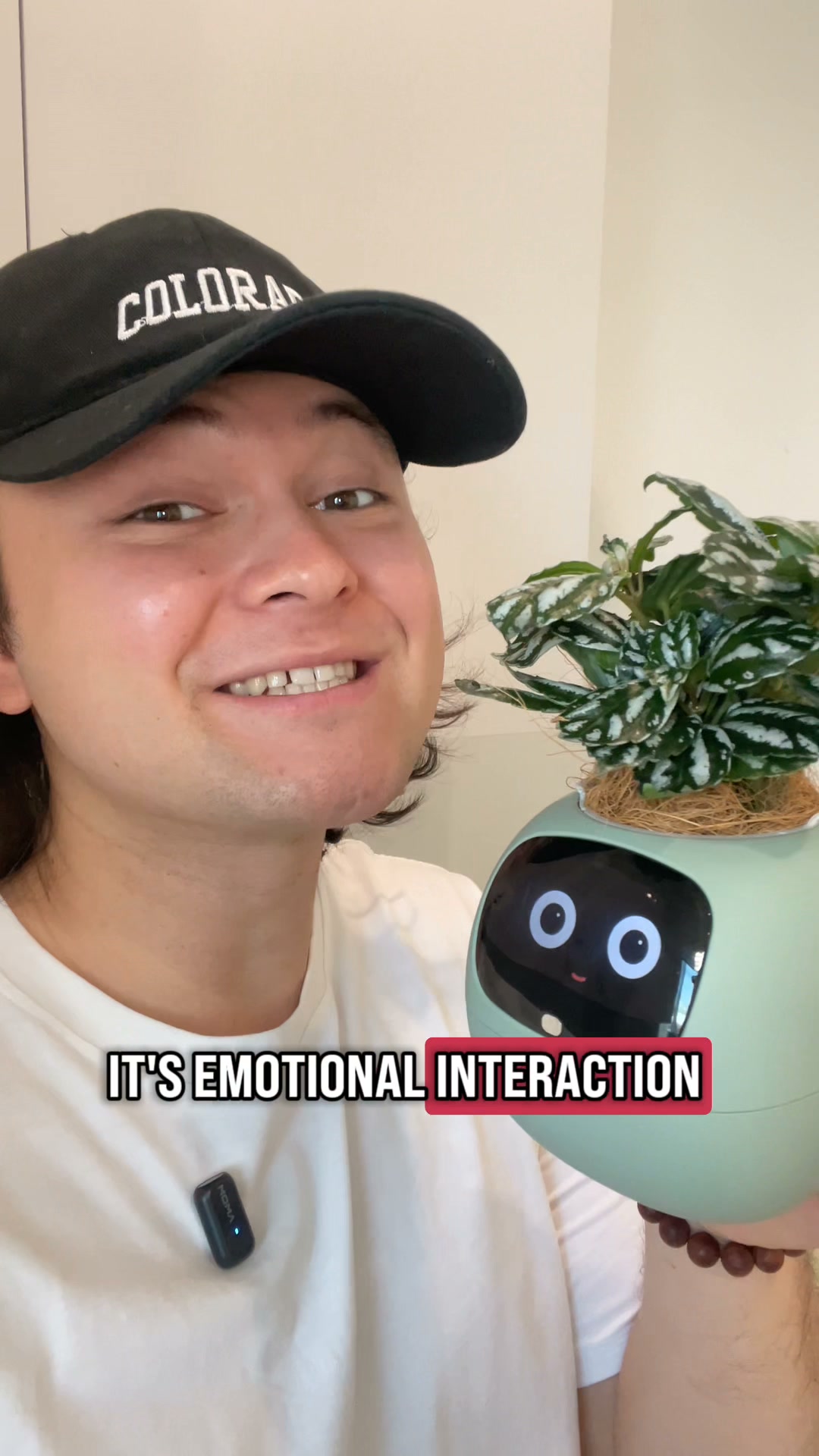 PlantsIO Ivy – Smart & Interactive Planter