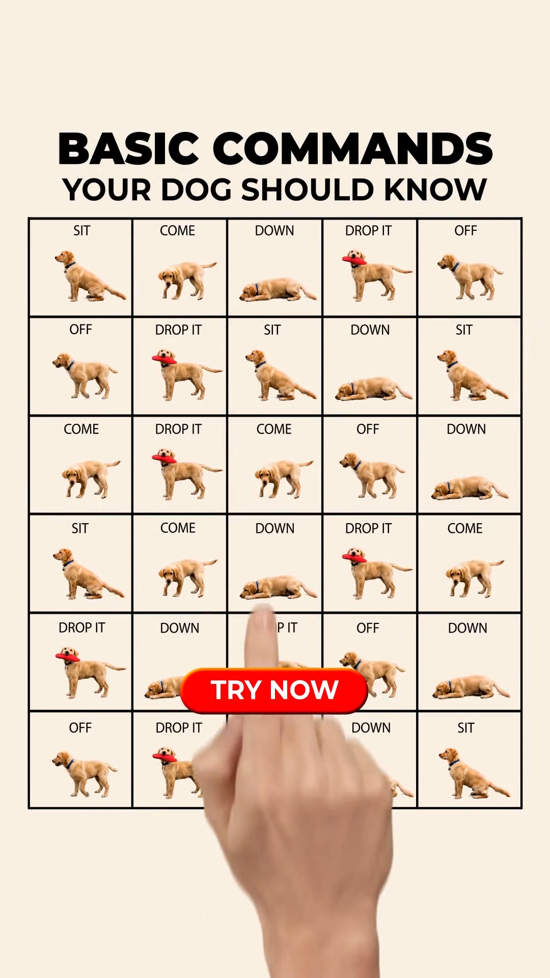 Professional Dog Training Made Simple