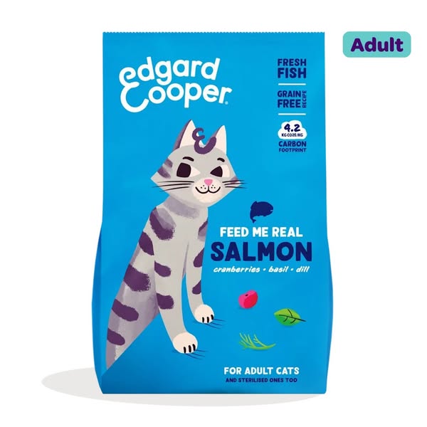 Fresh Salmon