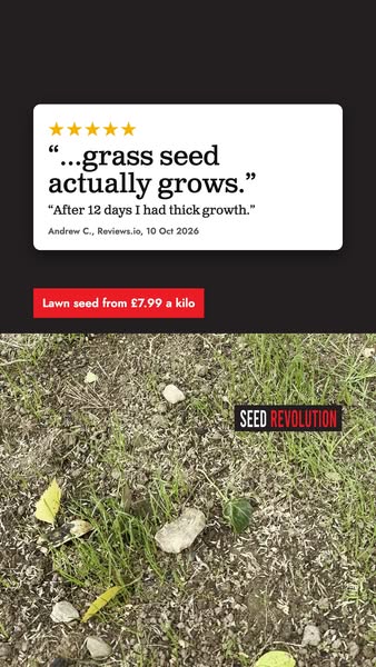 Find Your Perfect Lawn Mix