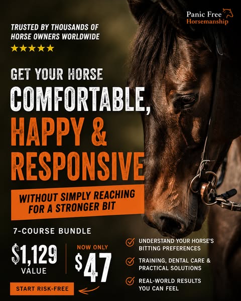Stop Guessing With Your Horse’s Bit