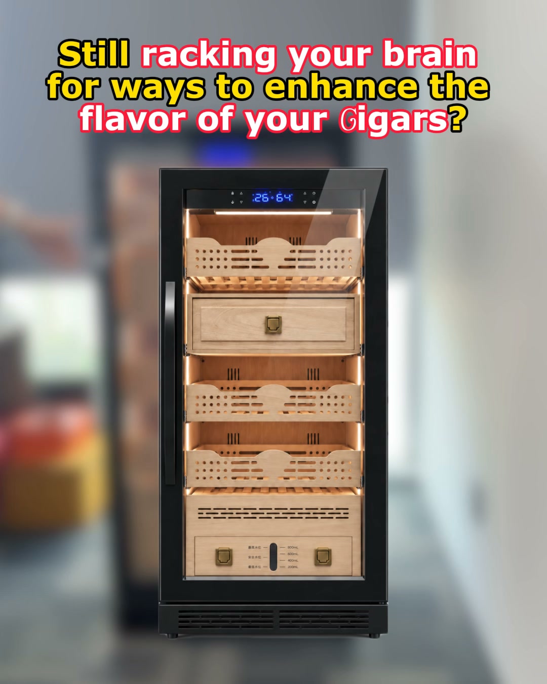 Up to 1,000 Pieces. One Serious Collection Cabinet.