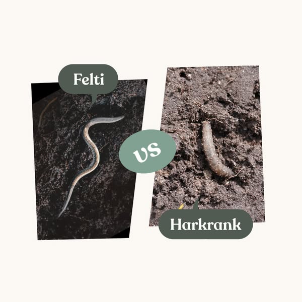 Felti – mot harkrankslarver - Endast SEK1,398