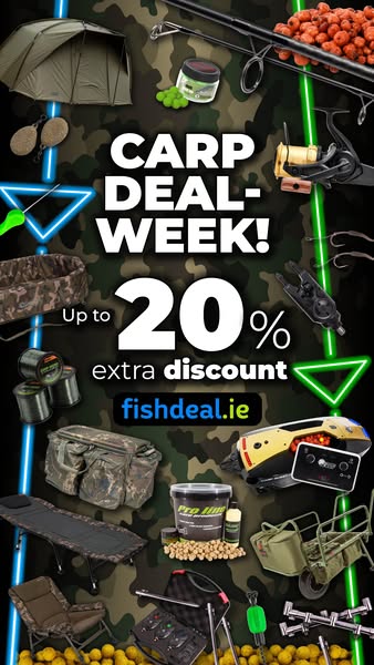Carp promotion week — up to 20% off!