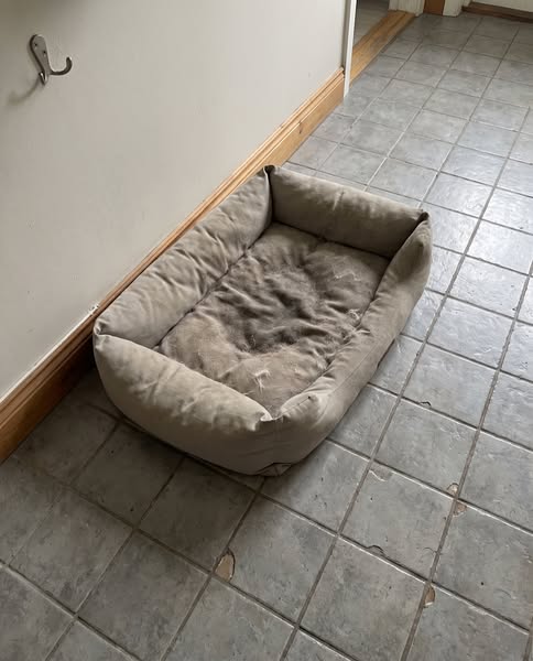 Nukkuu taas kyljellään