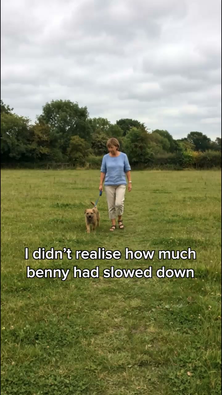 Dog's love it, Owners trust it