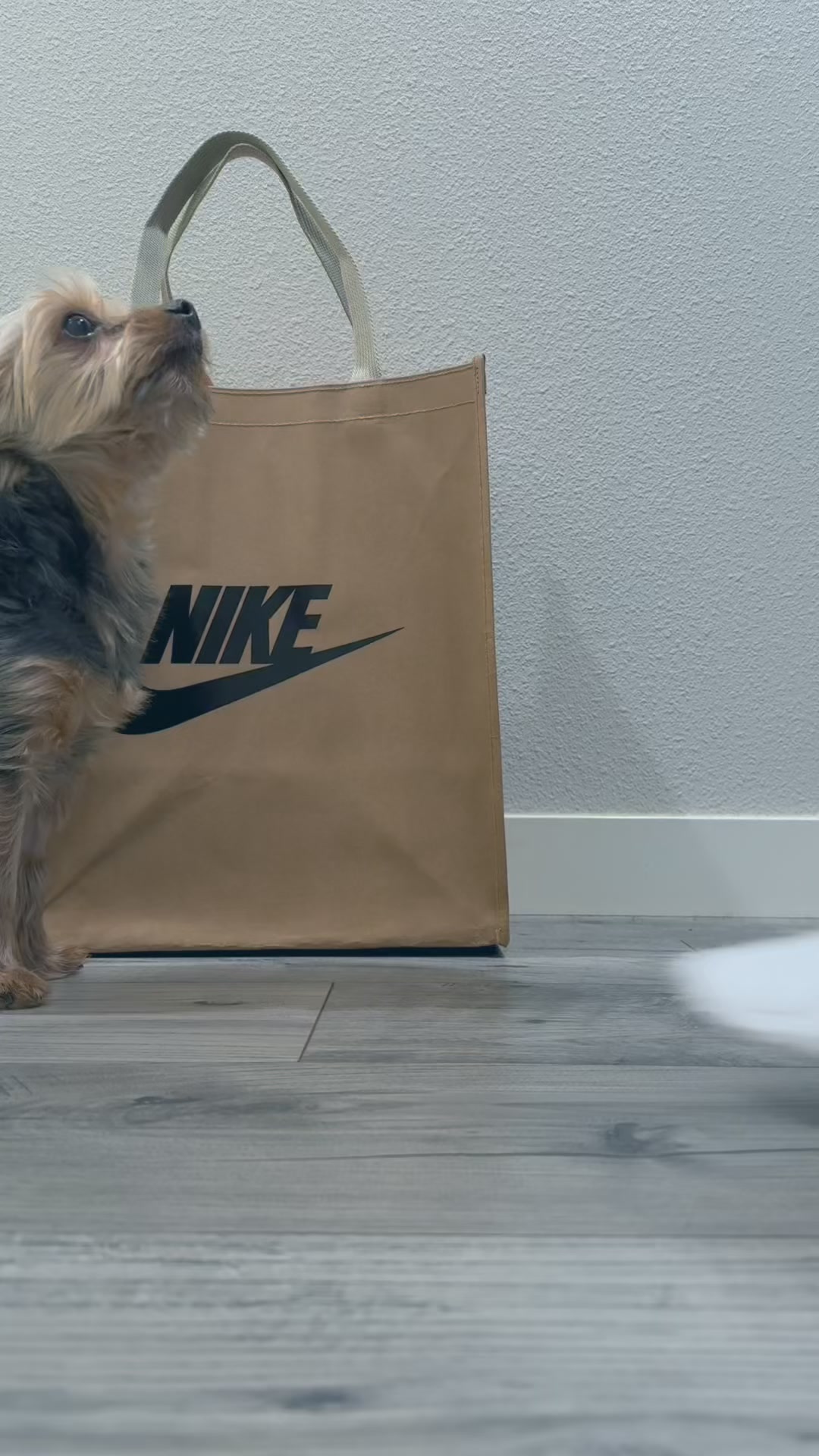 Premium Running Style + 3 Free Socks
