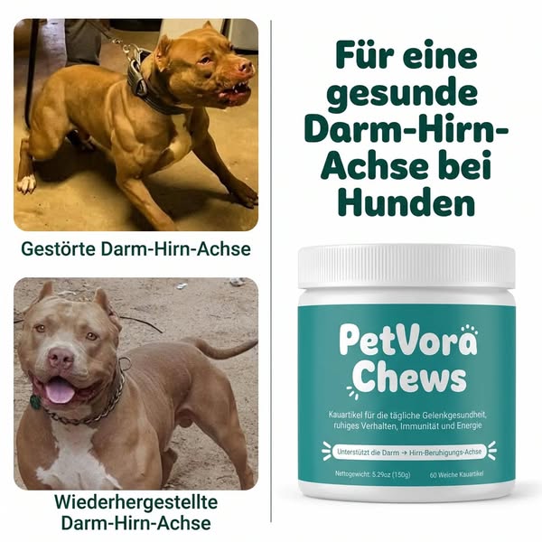 Stelle wieder her, was aus dem Gleichgewicht geraten ist – endlich innere Ruhe
