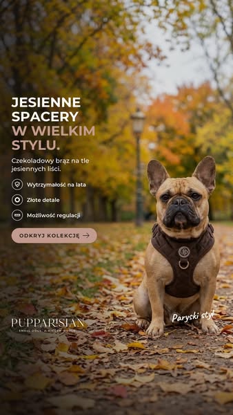 Czekoladowy brąz. Look sezonu