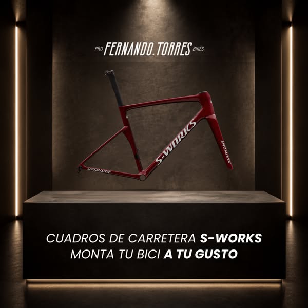 Cuadros Specialized