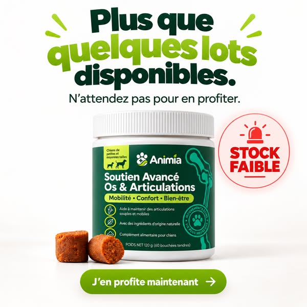Derniers lots en stock