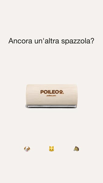 L'ultima spazzola che compri