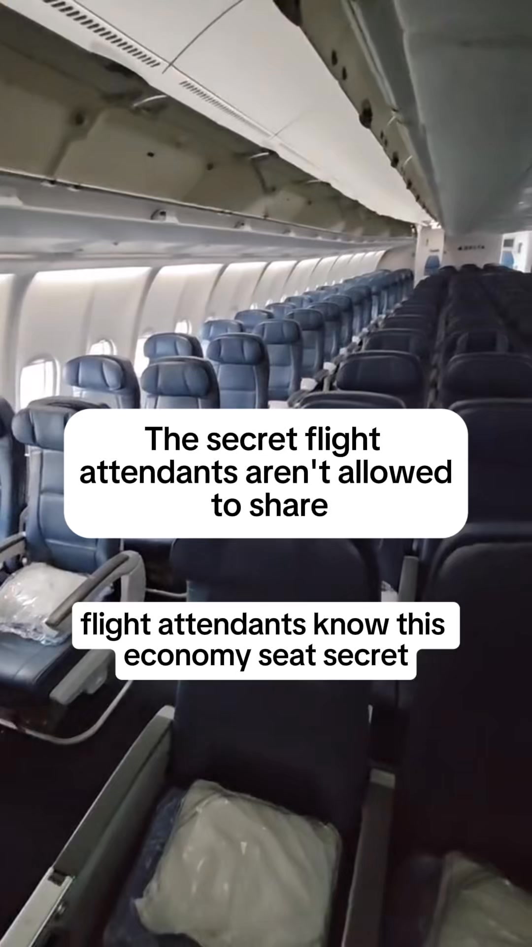 The Perfect Travel Seat Cushion