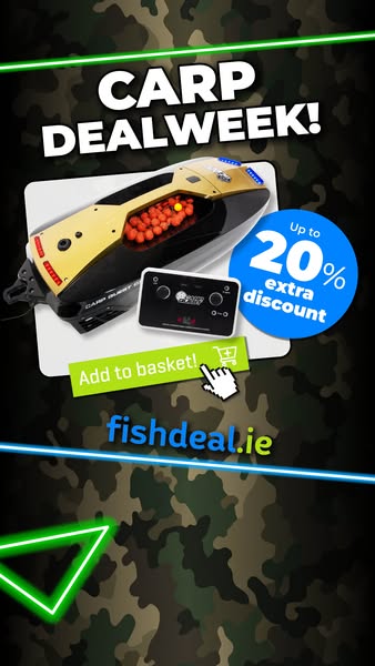 Carp promotion week — up to 20% off!