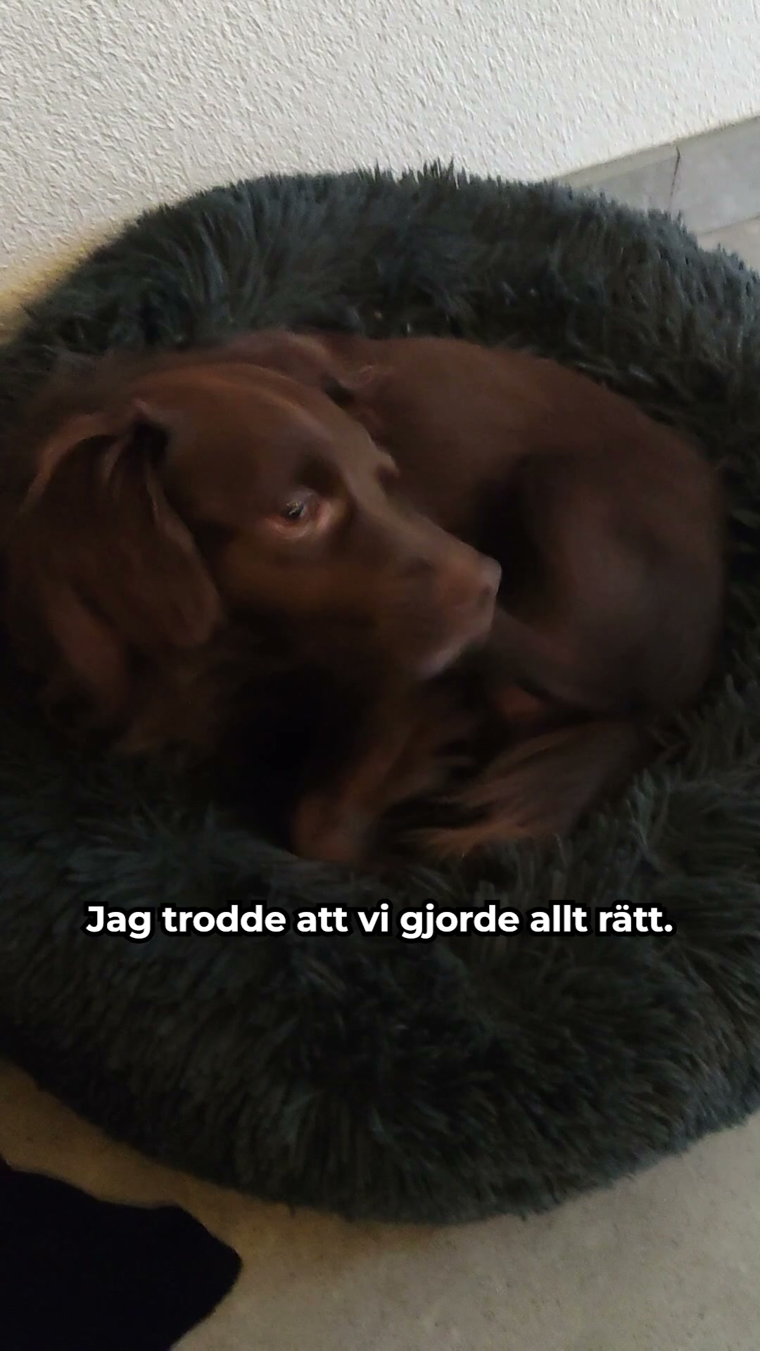 100 % naturligt, ingen medicin