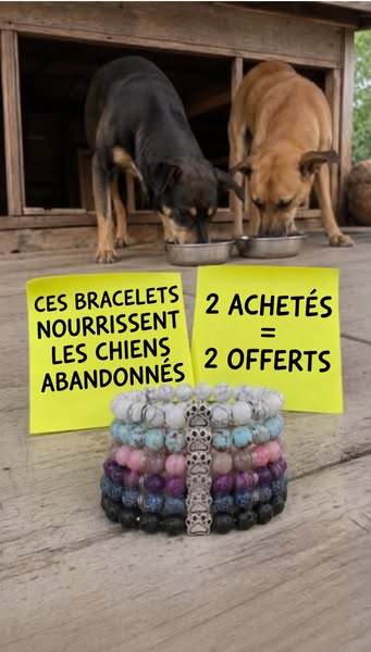 1 bracelet = 10 repas financés