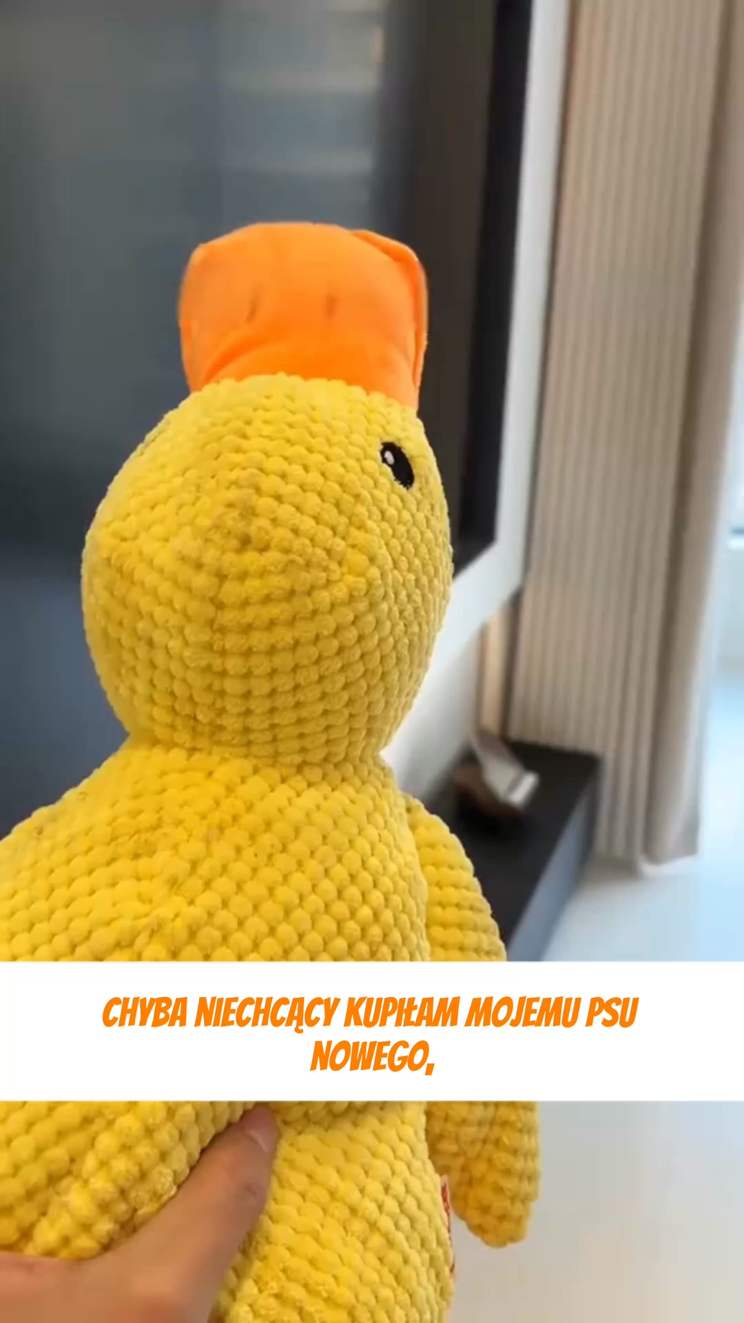 Darmowa dostawa!