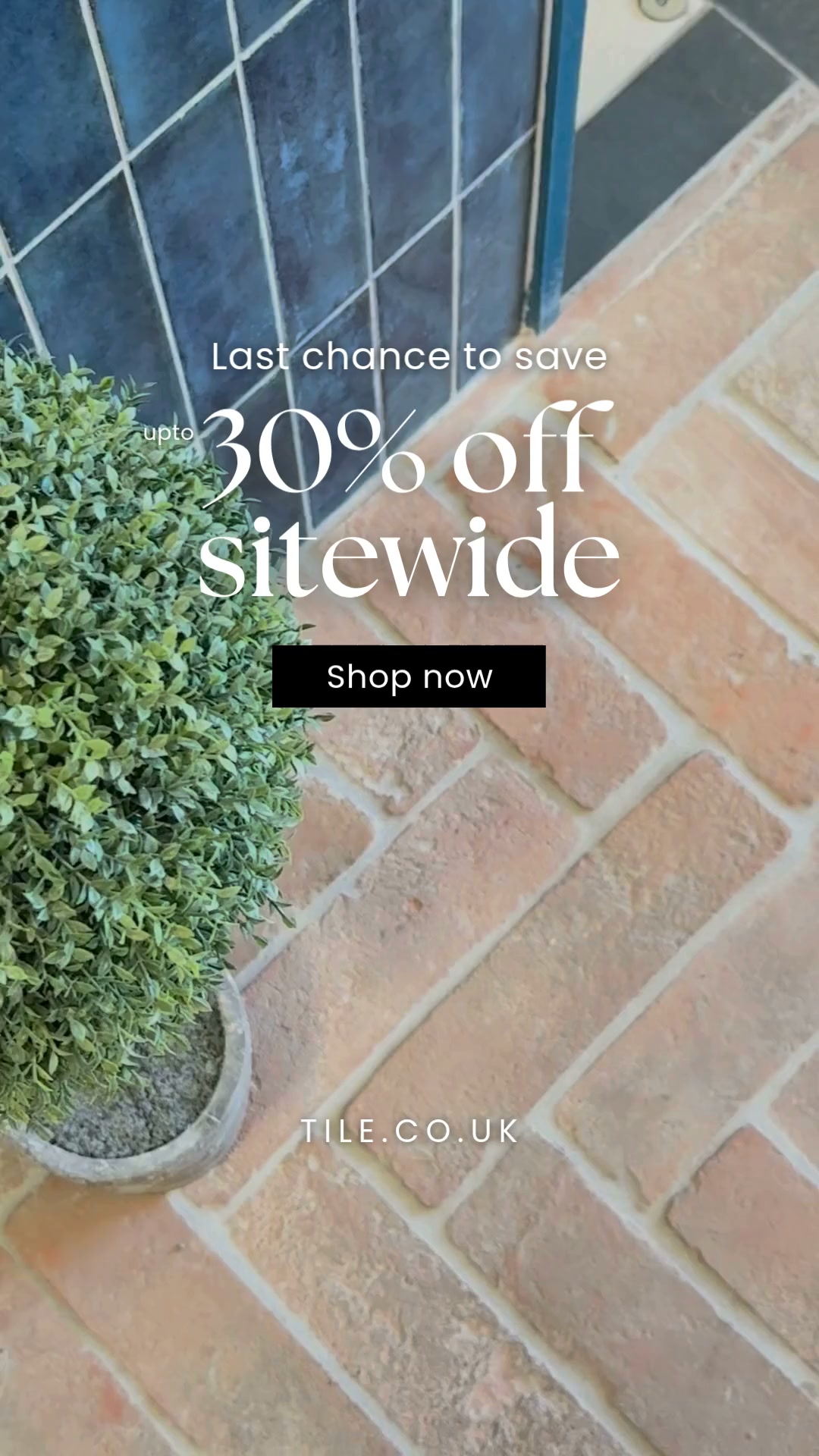 30% Off Sitewide*