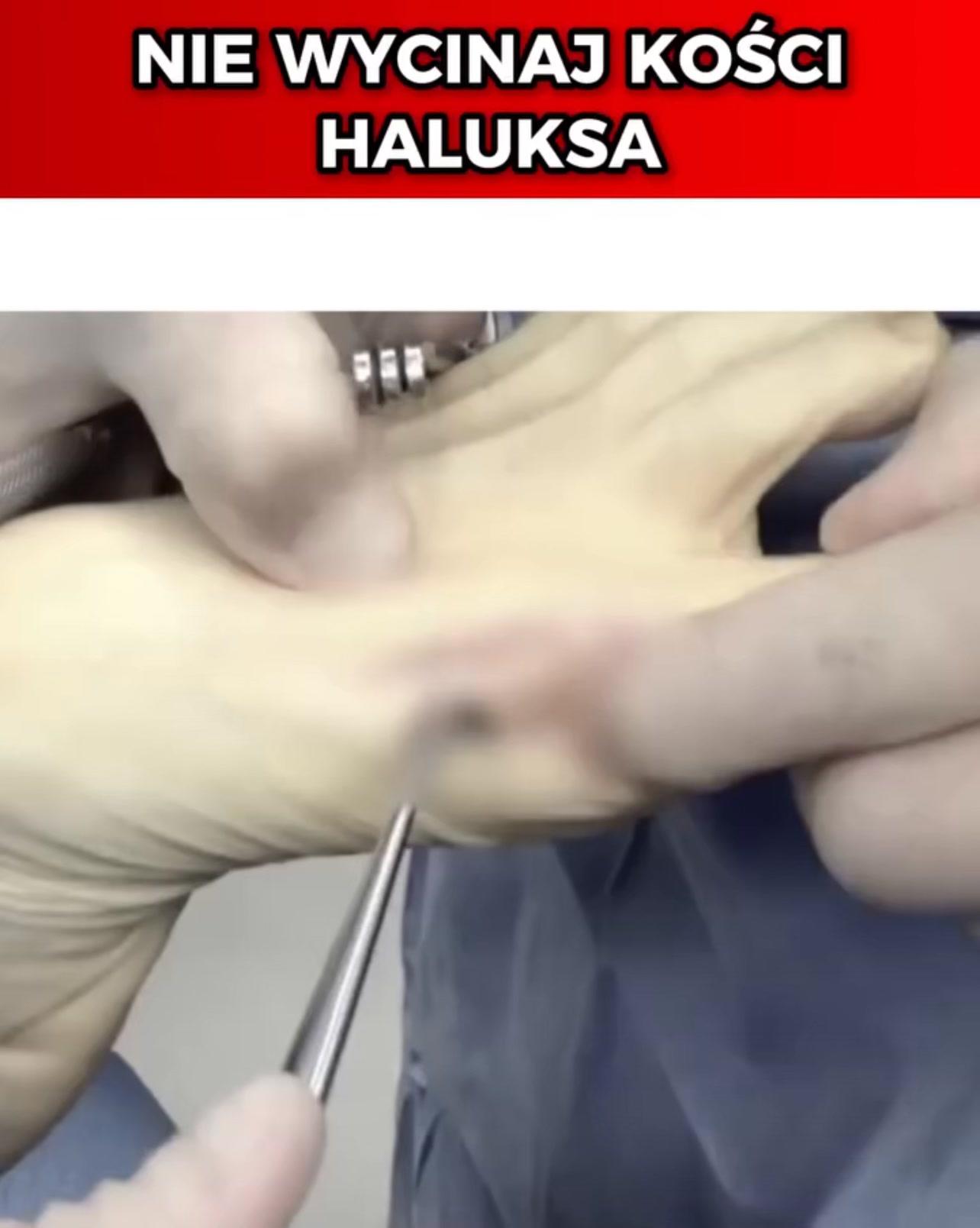 Podolodzy polecają!