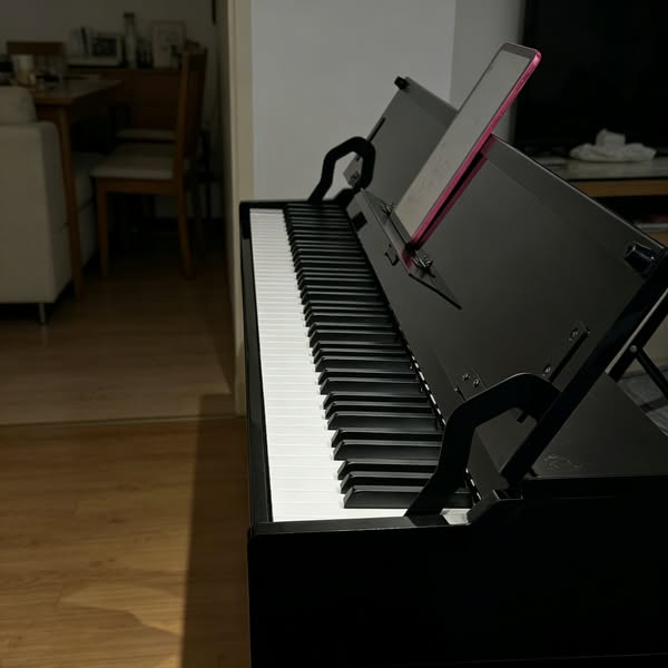 Donner DDP-75 Glossy Flip-Top Pianoforte Digitale Verticale