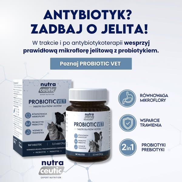 Wsparcie przy antybiotykoterapii