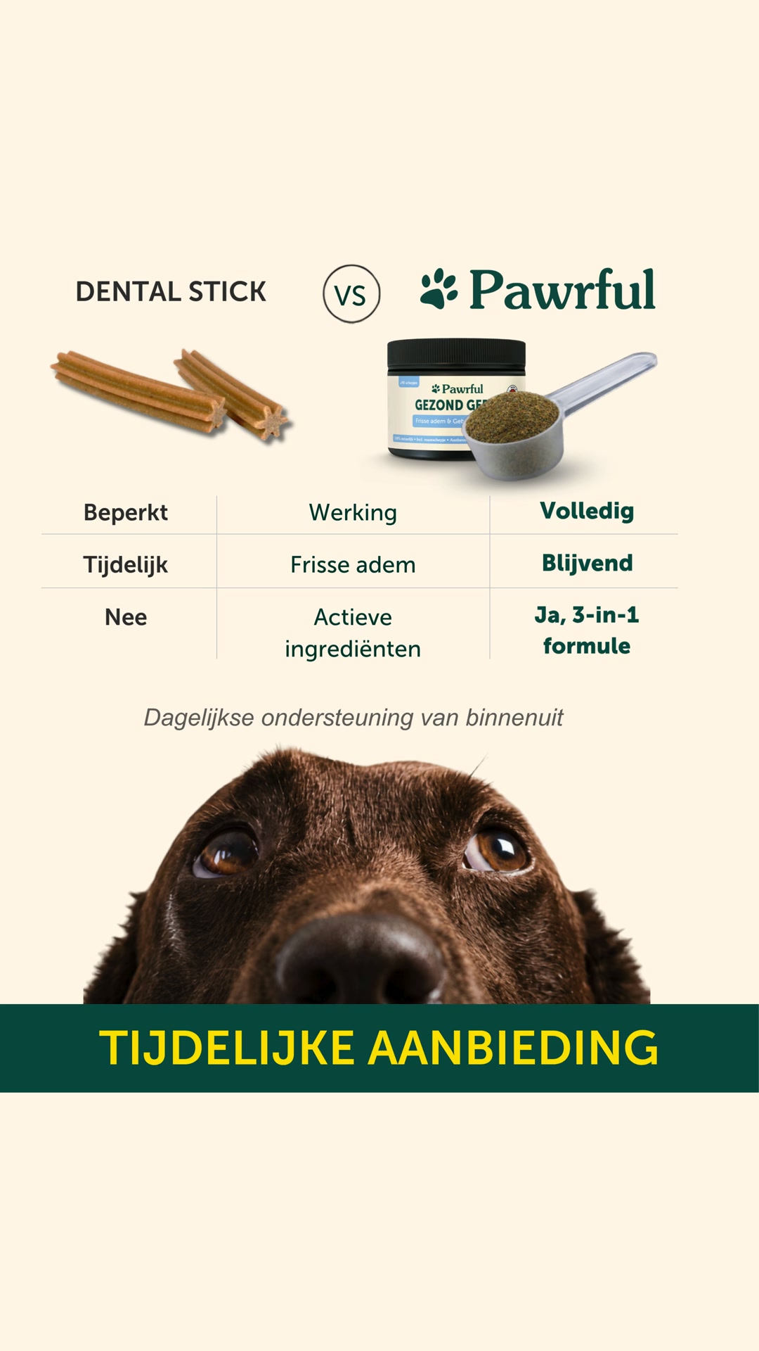 NU: Tijdelijke korting + Gratis verzending