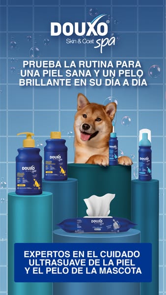 DOUXO SPA para perros y gatos