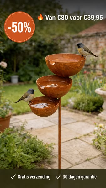 50% op ons rustieke vogelbad!