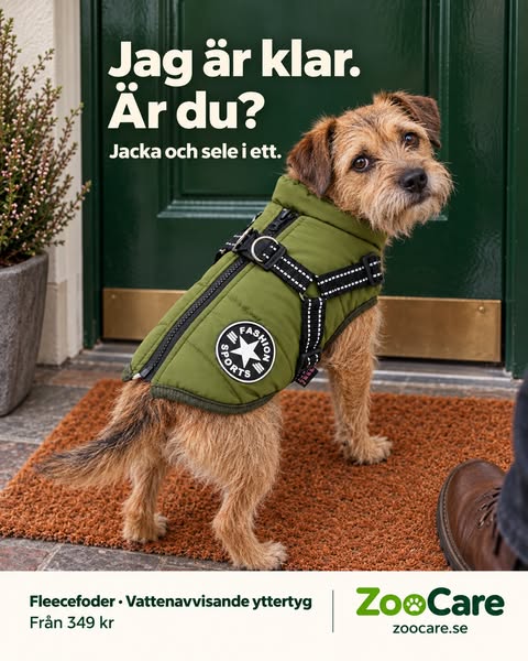 Jacka och sele i ett