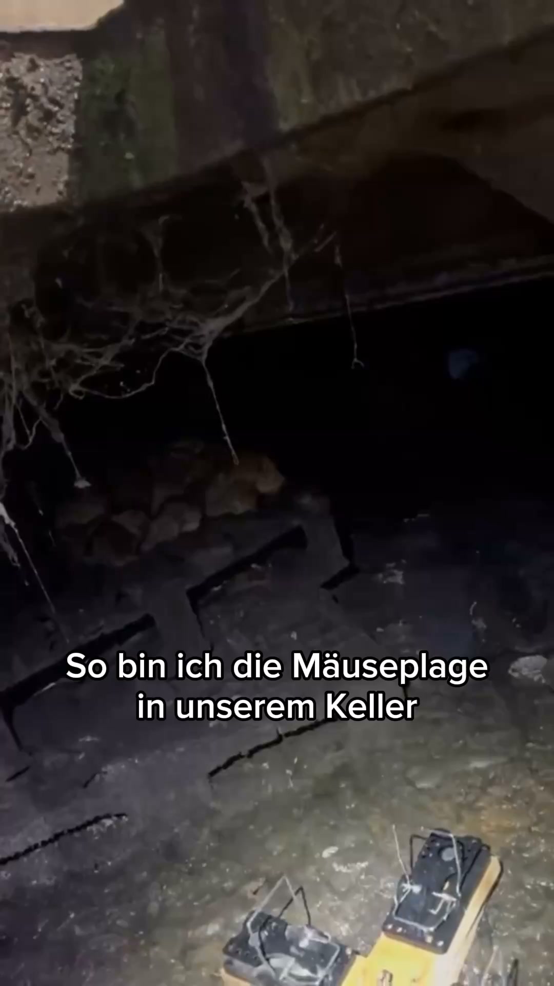 Über 16.000 glückliche Kunden