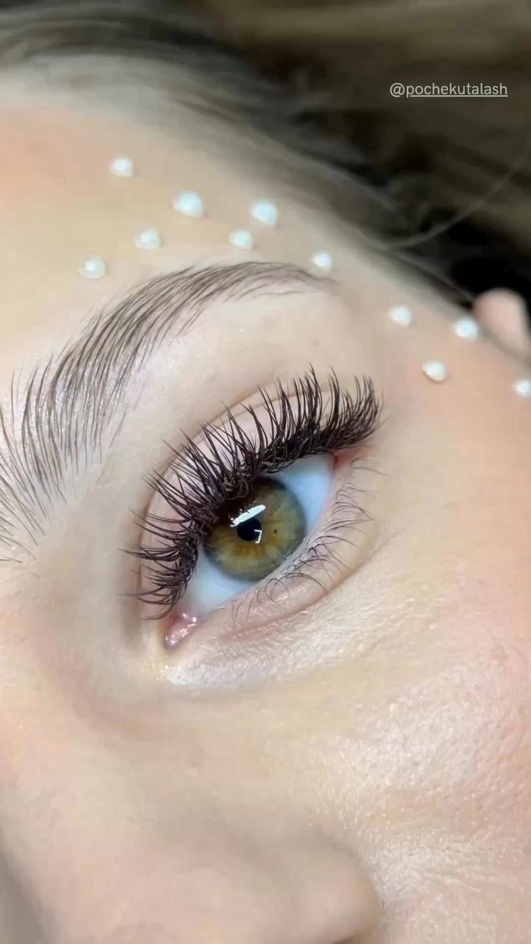 Cilio Lash Expert