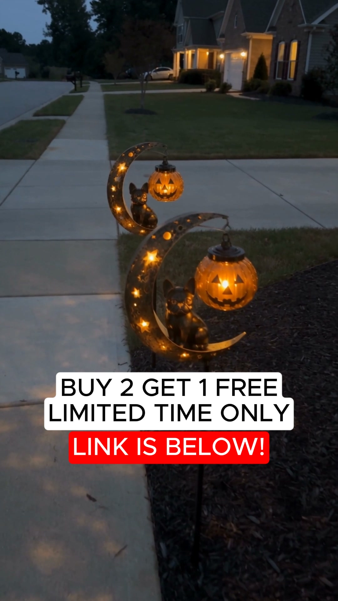 BUY 2 GET 1 FREE + FREE SHIPPINGDon't miss out!