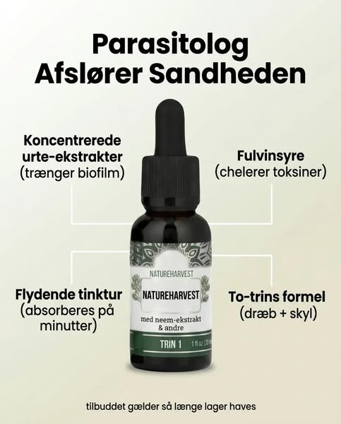 Hvad 12 års parasit-forskning lærte mig