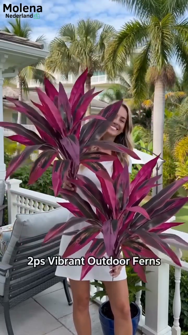Nooit meer dode planten