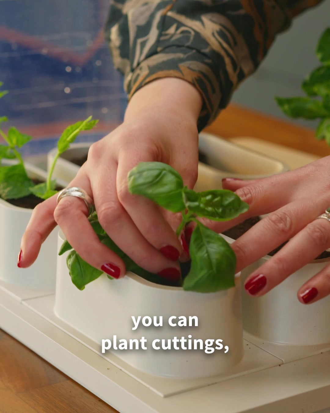 The Scandinavian indoor smart garden