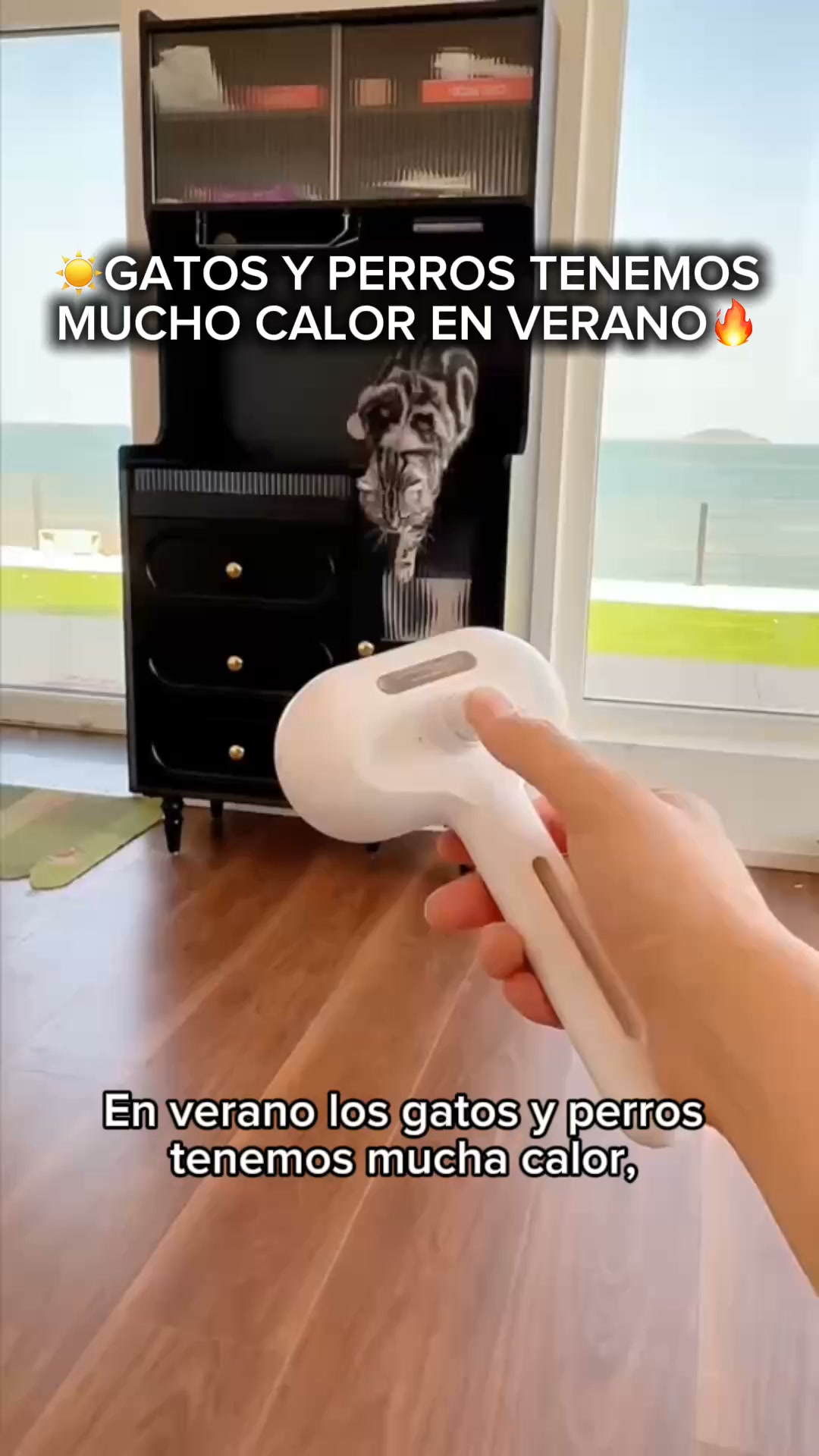 ENVÍO GRATIS 24h