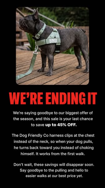 Rated #1 By Dog Owners