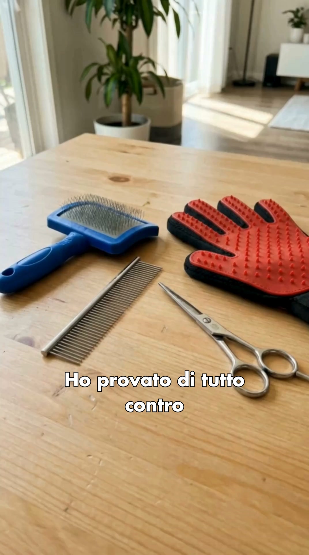 Nodi via in 60 secondi | Amata da 40.000+ proprietari