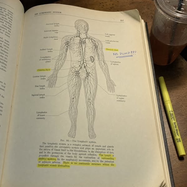 I Thought It Was Depression. My Lymph Was Backed Up.